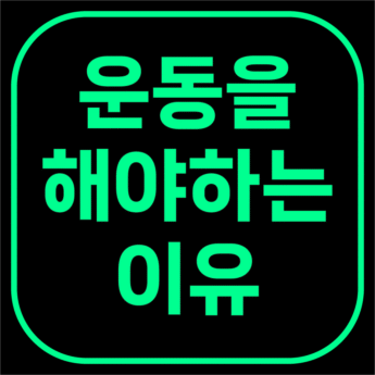 운동을 해야하는 이유